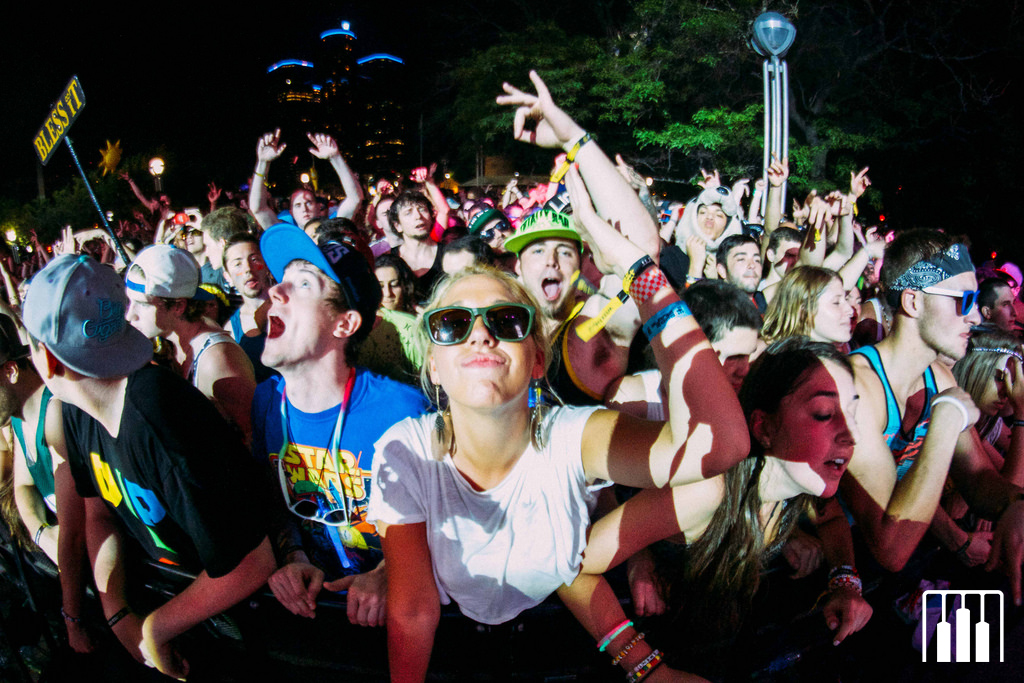 Crowd at the Moog stage (Nick Kassab |Detroit Music Magazine)